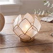 Brightspot Blooming Lotus Capiz Shell Tea Light Holder in Natural