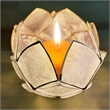 Brightspot Blooming Lotus Capiz Shell Tea Light Holder in Natural