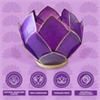 Brightspot Blooming Lotus Capiz Shell Tea Light Holder in Purple