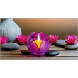 Brightspot Blooming Lotus Capiz Shell Tea Light Holder in Purple