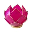 Brightspot Blooming Lotus Capiz Shell Tea Light Holder in Pink