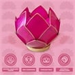 Brightspot Blooming Lotus Capiz Shell Tea Light Holder in Pink