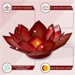 OM Gallery Capiz Shell Lotus Tea Light Holder in Orange