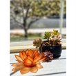 OM Gallery Capiz Shell Lotus Tea Light Holder in Orange