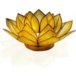 OM Gallery Capiz Shell Lotus Tea Light Holder in Yellow