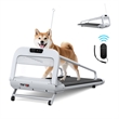 FYC Small/Medium Dogs Adjustable Speed w/ Incline Pet Treadmill in White