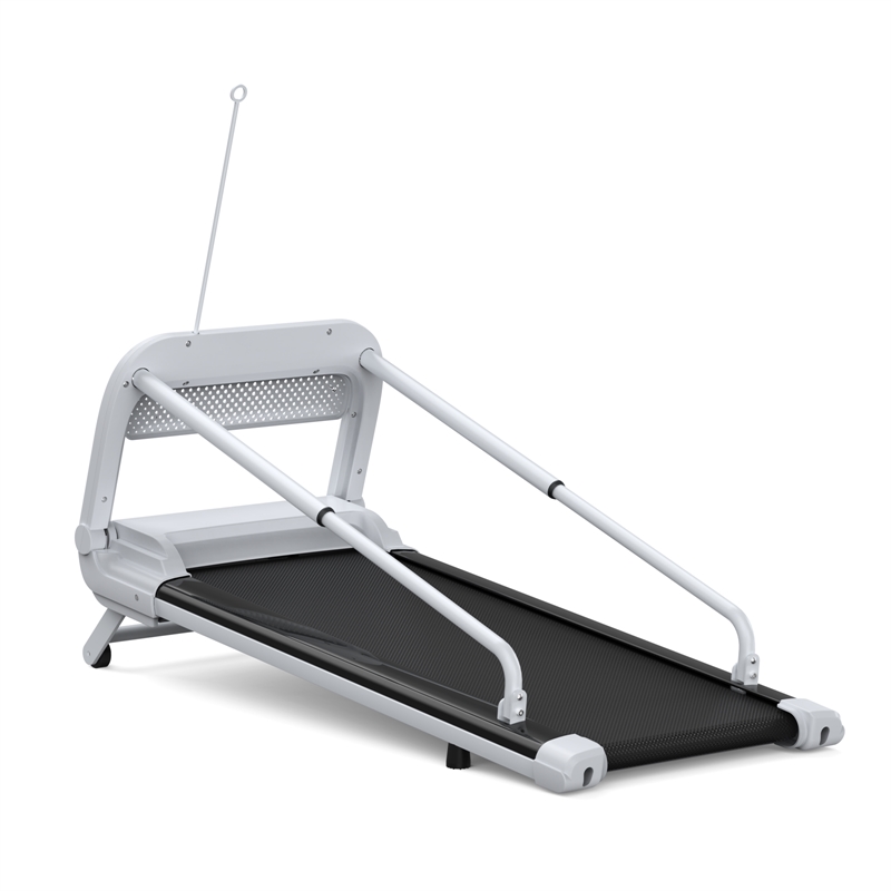 FYC Small/Medium Dogs Adjustable Speed w/ Incline Pet Treadmill in White