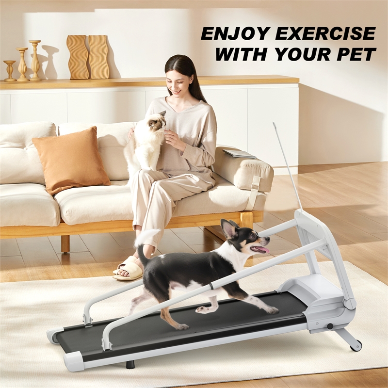 FYC Small/Medium Dogs Adjustable Speed w/ Incline Pet Treadmill in White