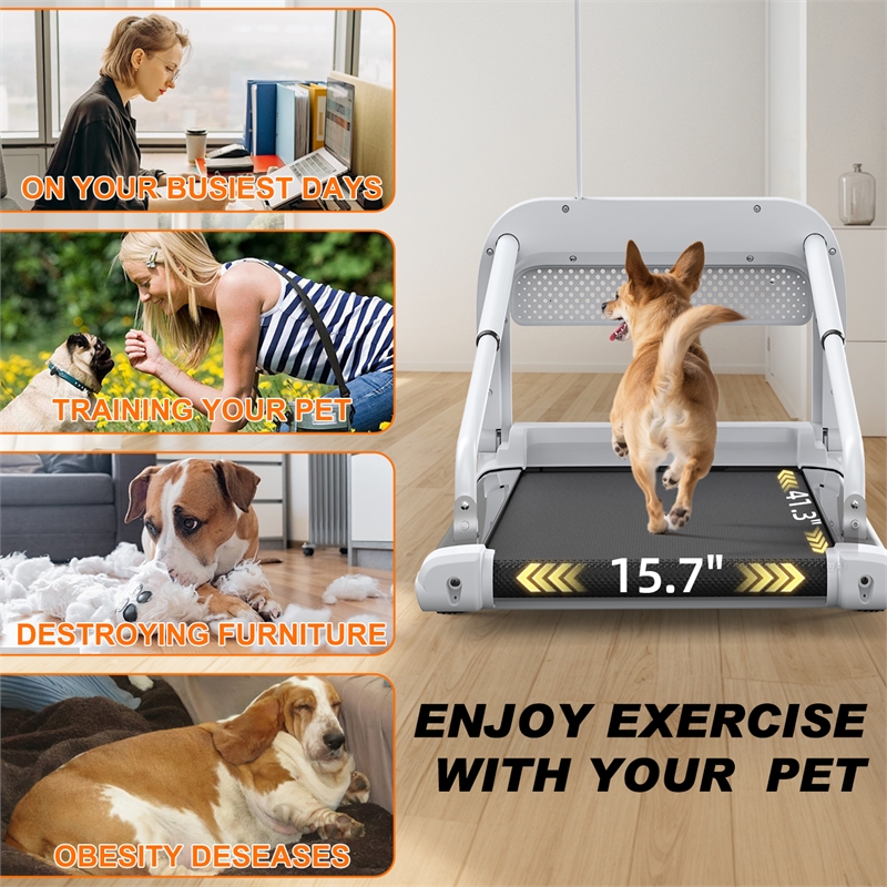 FYC Small/Medium Dogs Adjustable Speed w/ Incline Pet Treadmill in White
