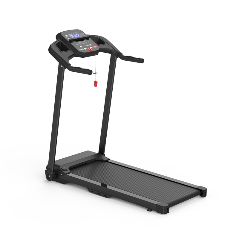 FYC 2.5HP Electric Folding Treadmill for Home Gym in Black