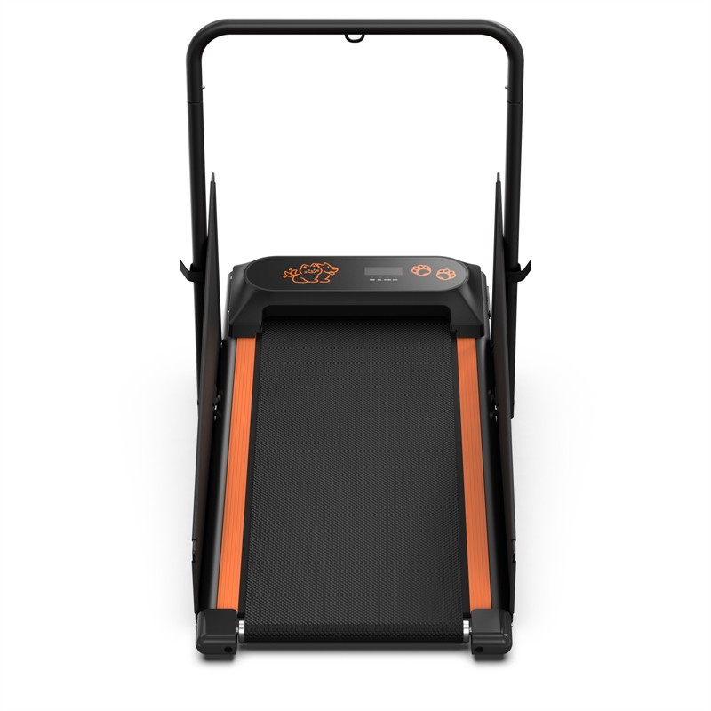 FYC Small/Medium Dogs Portable Exercise Treadmill in Orange