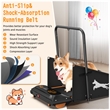 FYC Small/Medium Dogs Portable Exercise Treadmill in Orange