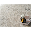 Artisan Power Loom Wool/Nylon Ivory 4'x6' Area Rug