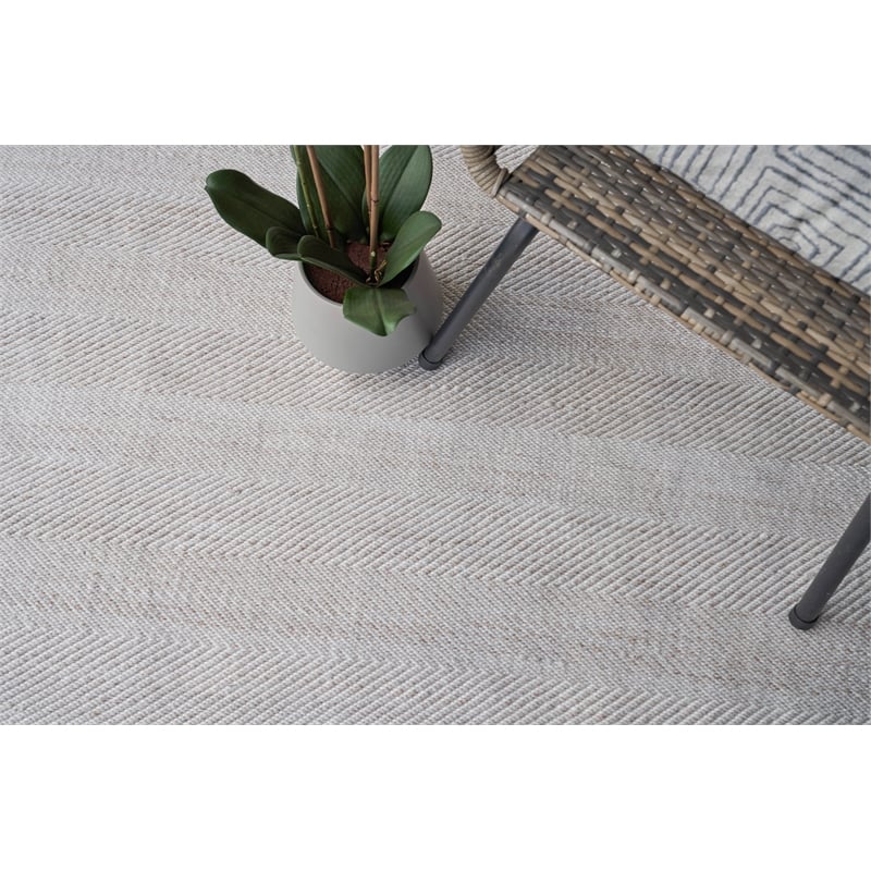 Bintan Flatweave Pet Ivory/Beige 2'x3' Area Rug