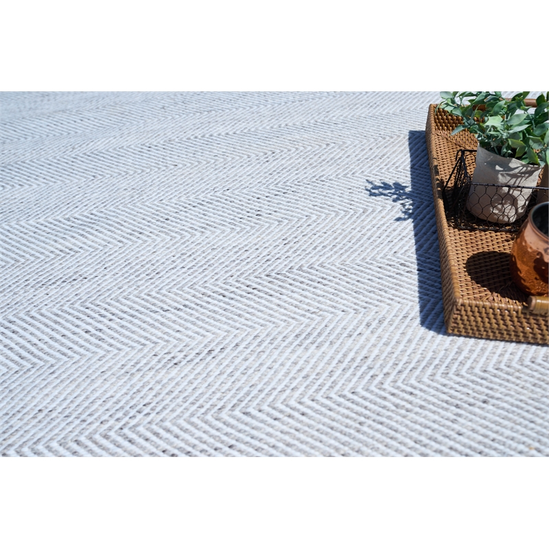 Bintan Flatweave Pet Ivory/Gray 2'x3' Area Rug