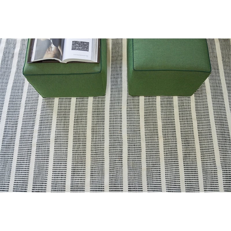 Boca Flatweave Pet Ivory/Black 2'x3' Area Rug