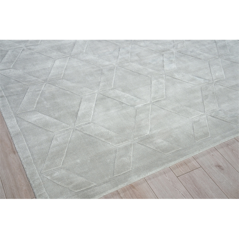 Brunello Modern Handloomed Silky Nylon Light Silver 4'x6' Area Rug