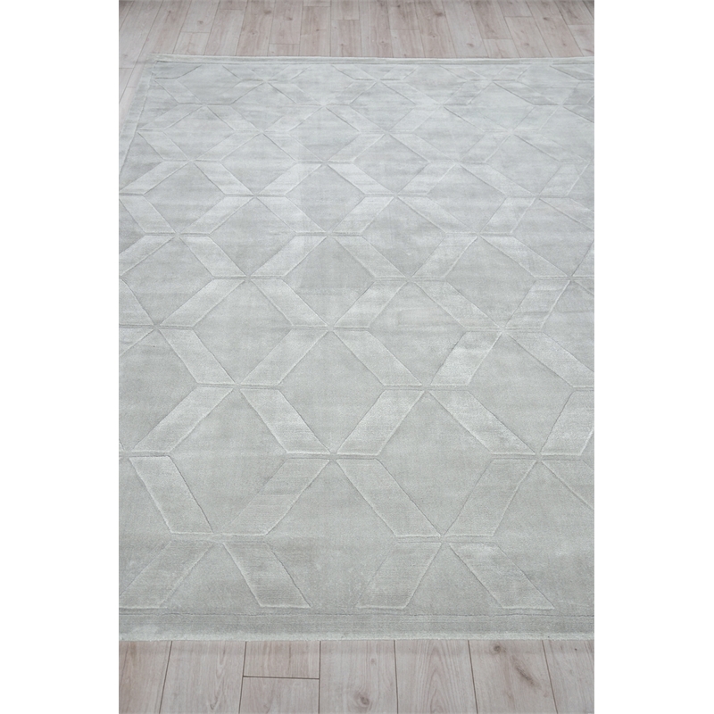 Brunello Modern Handloomed Silky Nylon Light Silver 4'x6' Area Rug