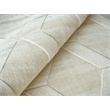Brunello Modern Handloomed Silky Nylon Light Beige 4'x6' Area Rug