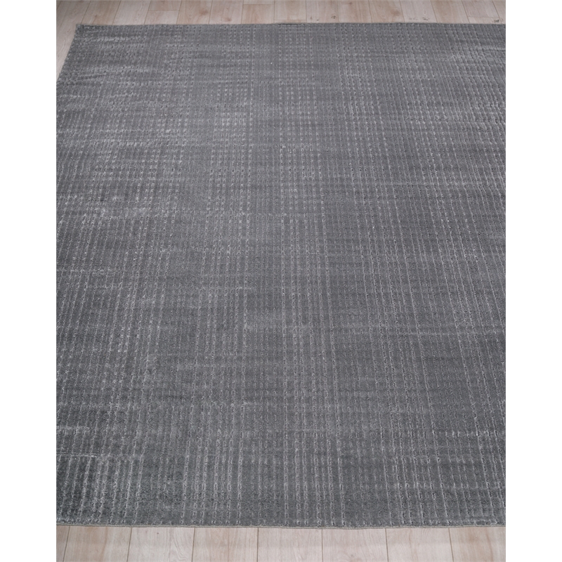 Cabrini Modern Handloomed Silky Nylon Gray 4'x6' Area Rug