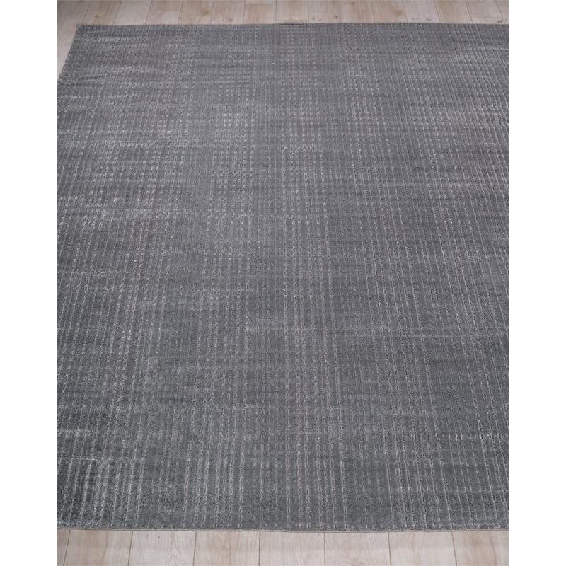 Cabrini Modern Handloomed Silky Nylon Gray 6'x9' Area Rug