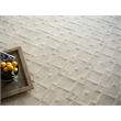 Camora Modern Handloomed Silky Nylon Beige 4'x6' Area Rug