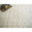 Camora Modern Handloomed Silky Nylon Beige 4'x6' Area Rug