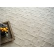 Camora Modern Handloomed Silky Nylon Beige 12'x15' Area Rug