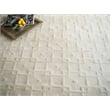 Camora Modern Handloomed Silky Nylon Beige 12'x15' Area Rug
