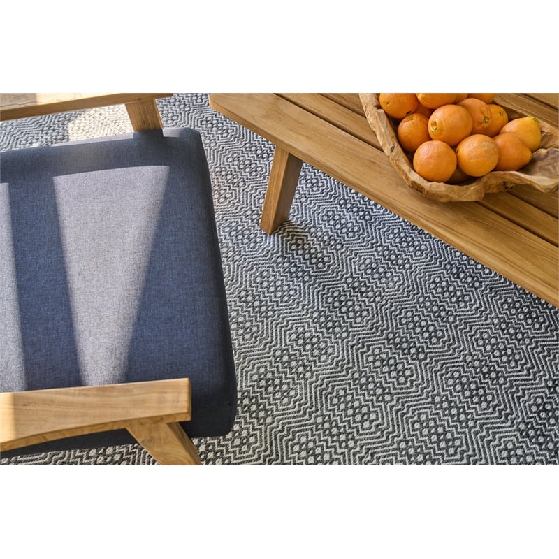 Echo Flatweave Pet Ivory/Black 2'x3' Area Rug