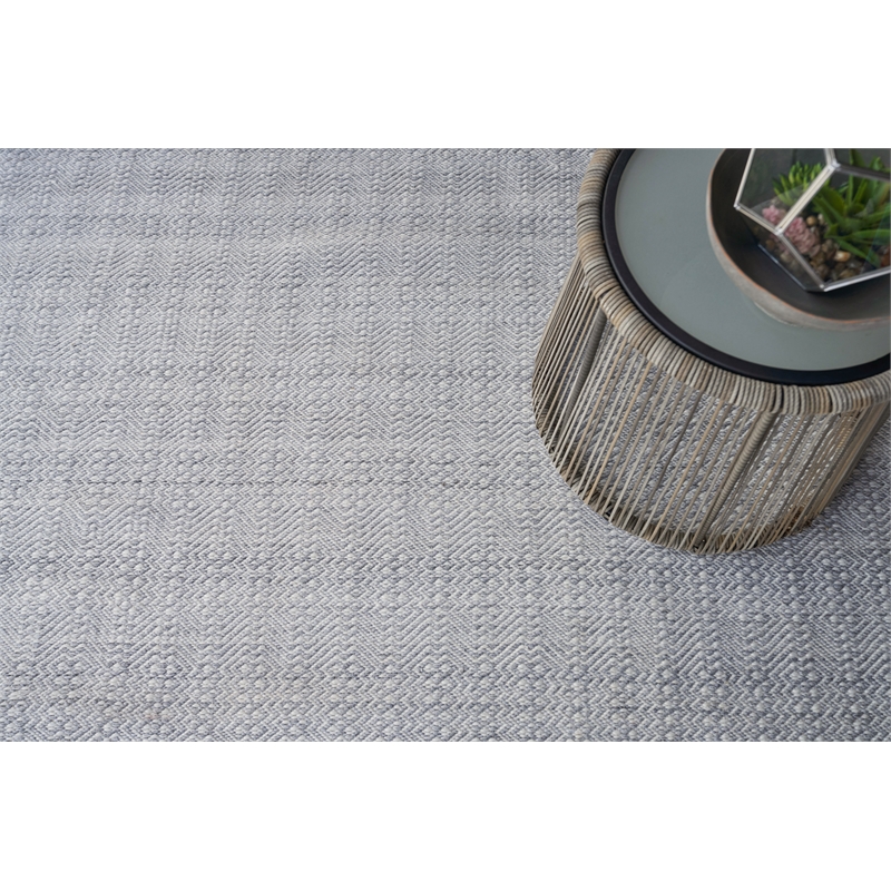 Echo Flatweave Pet Ivory/Light Silver 2'x3' Area Rug
