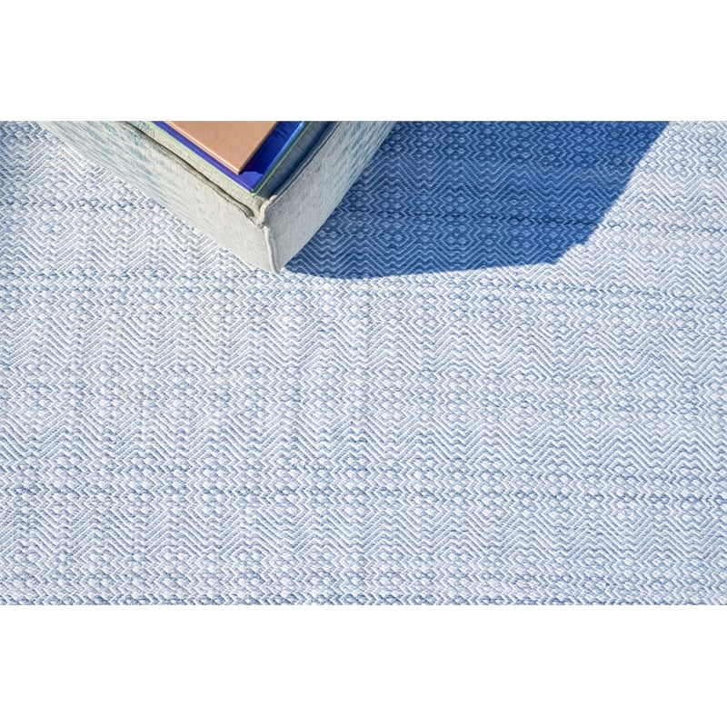 Echo Flatweave Pet Light Blue 2'x3' Area Rug