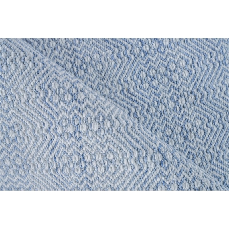 Echo Flatweave Pet Light Blue 5'x8' Area Rug