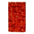 Flatweave Flatweave New Zealand Wool Red 3'x5' Area Rug