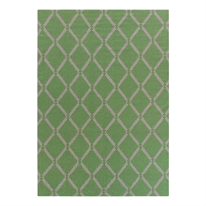 Flatweave Flatweave New Zealand Wool Mint 5'x8' Area Rug