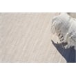 Florence Flatweave Pet Light Beige 10'x14' Area Rug