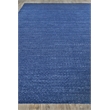 Gamma Flatweave Pet Blue 2'x3' Area Rug