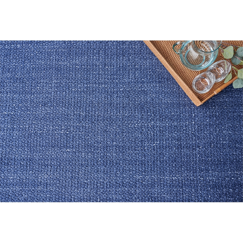 Gamma Flatweave Pet Blue 6'x9' Area Rug