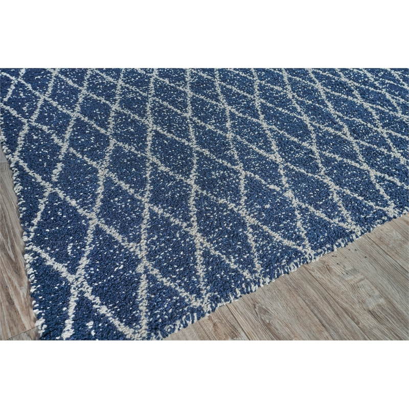 Giorgio Flatweave Pet Navy/Ivory 14'x18' Area Rug