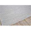 Gamma Flatweave Pet Silver 2'x3' Area Rug