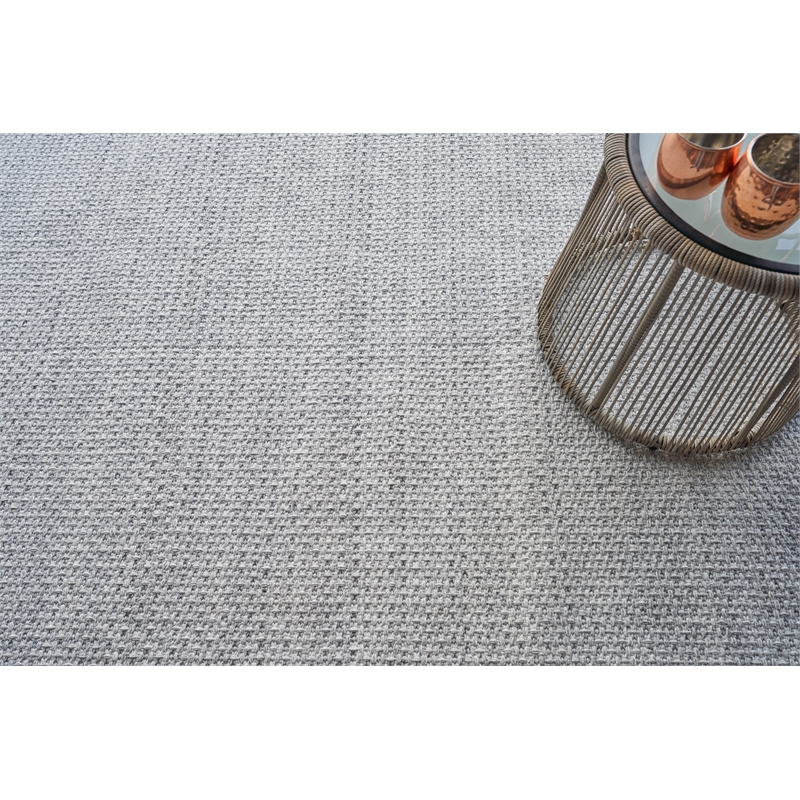 Gamma Flatweave Pet Silver 4'x6' Area Rug