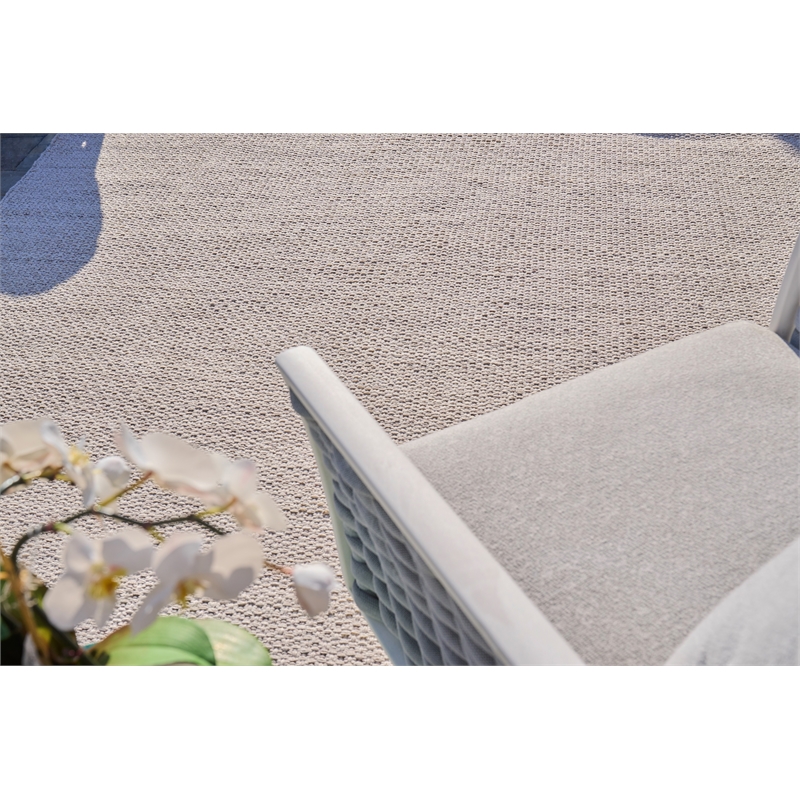 Gamma Flatweave Pet Silver 4'x6' Area Rug