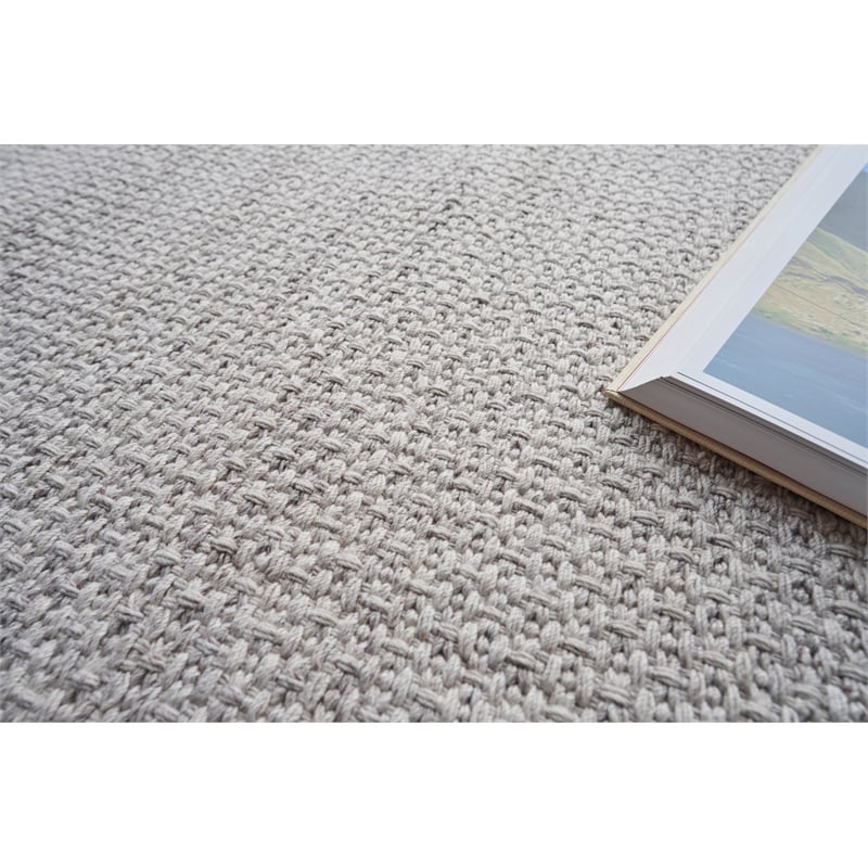 Gamma Flatweave Pet Beige 2'x3' Area Rug