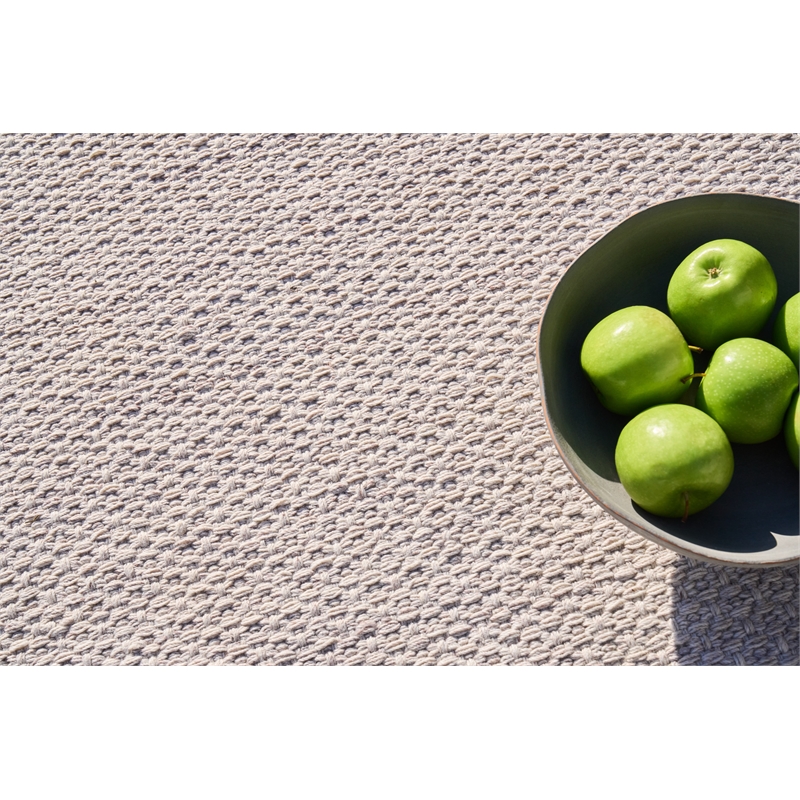 Gamma Flatweave Pet Beige 4'x6' Area Rug