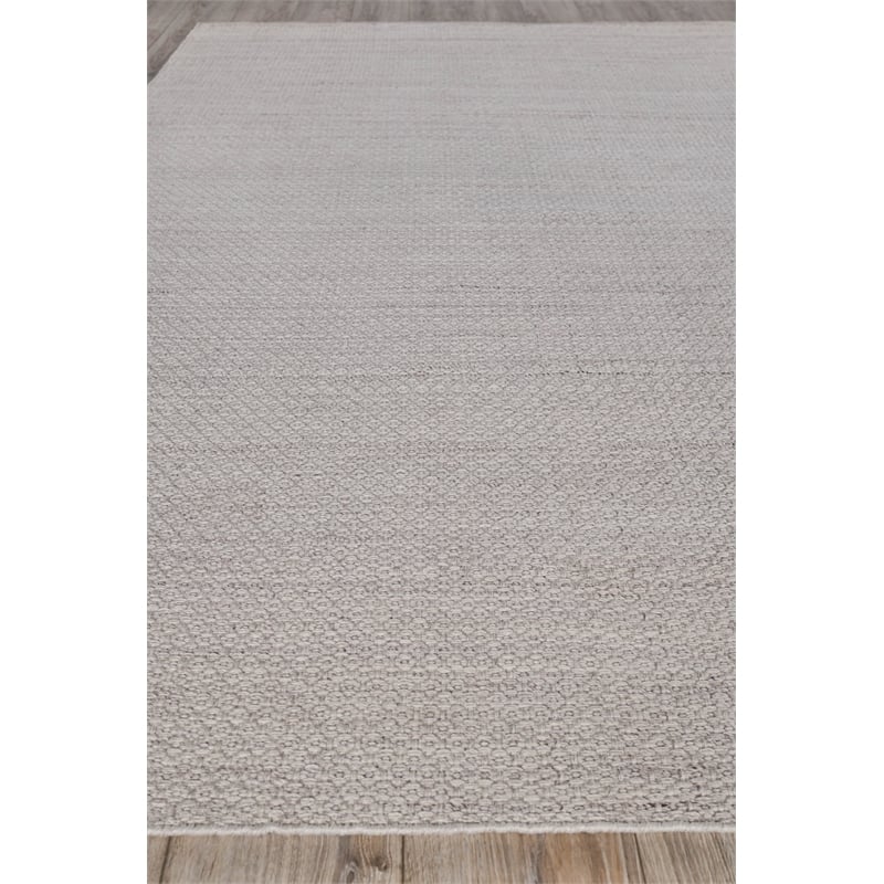 Gamma Flatweave Pet Beige 5'x8' Area Rug
