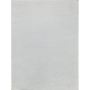 Gamma Flatweave Pet Ivory 2'x3' Area Rug