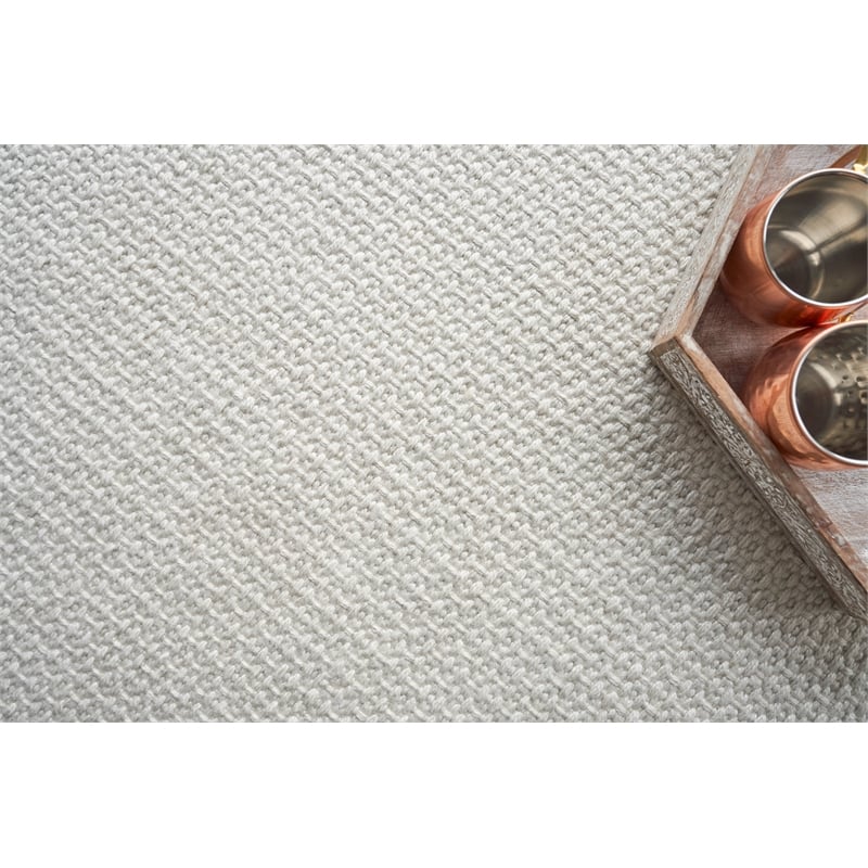 Gamma Flatweave Pet Ivory 4'x6' Area Rug