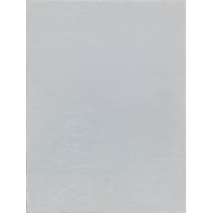 Kashmir Flatweave Pet Ivory 10'x14' Area Rug