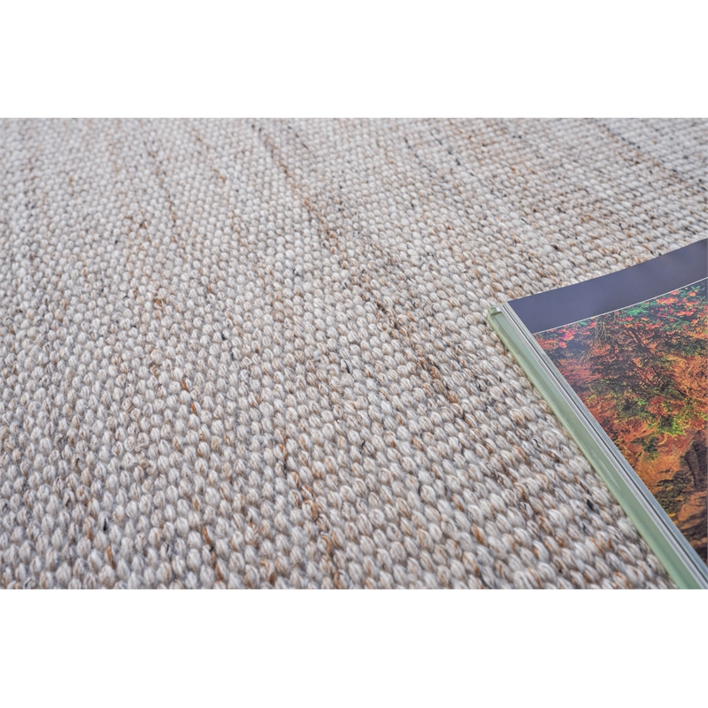 Loro Flatweave Pet Light Beige 10'x14' Area Rug