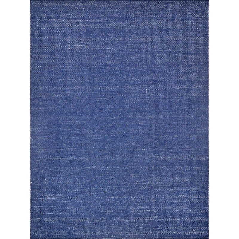 Loro Flatweave Pet Navy 2'x3' Area Rug